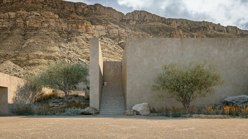 Lot 20 | the homes' facades are enclosed, while the rears open through full-height glass