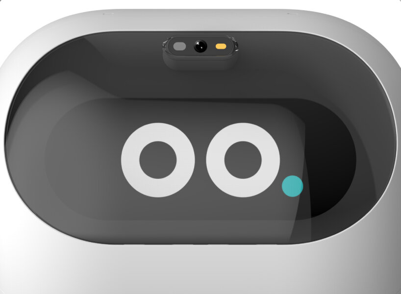 LG ai robot ces 2024