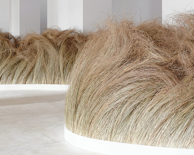 atuxuá æquō estúdio campana