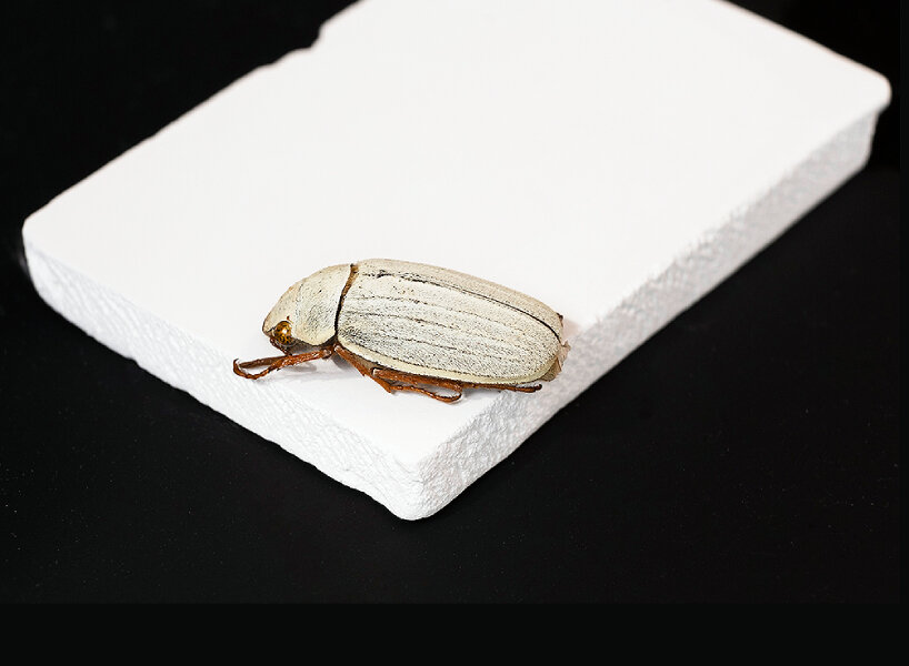 UNESCO report ethics climate engineering carbon