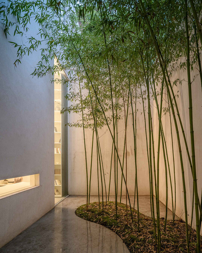 HAS design research forest