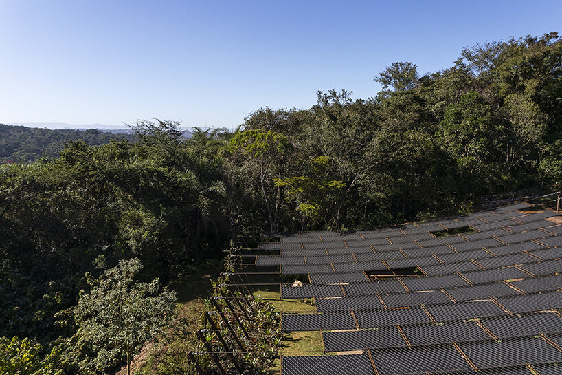 yayoi kusama inhotim brazil
