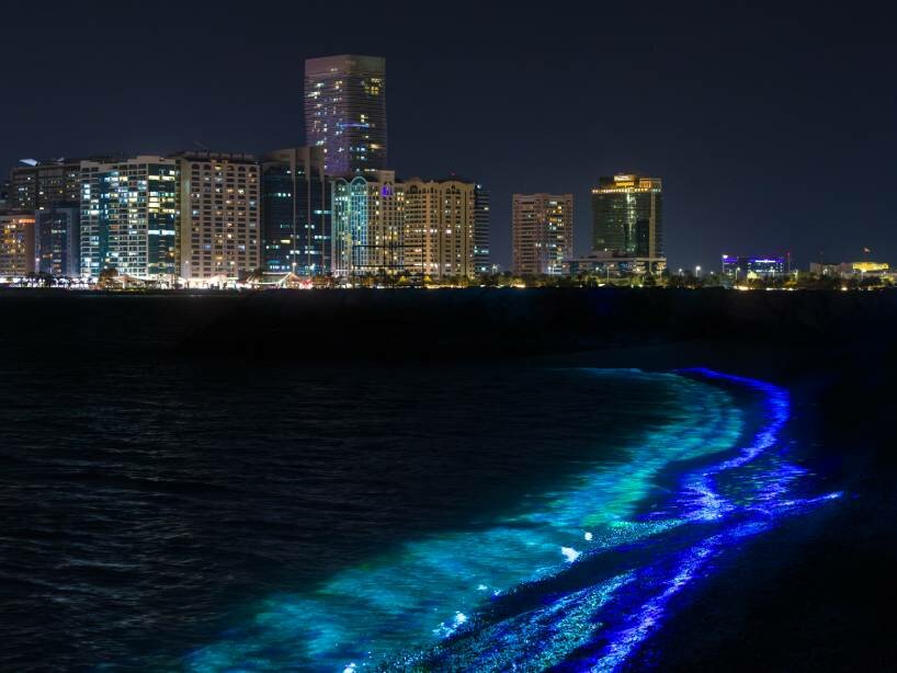 inaugural manar exhibition illuminates abu dhabi’s archipelagos with public installations