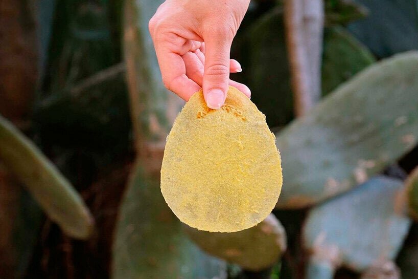 TOP 10 reader submissions of 2023 – design products