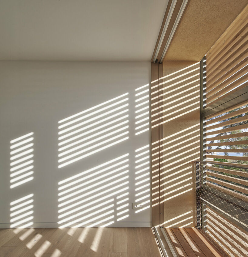 image © José Hevia