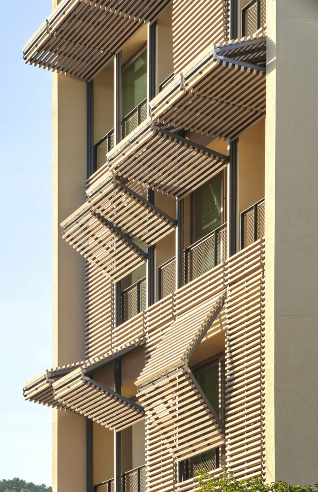 image © José Hevia