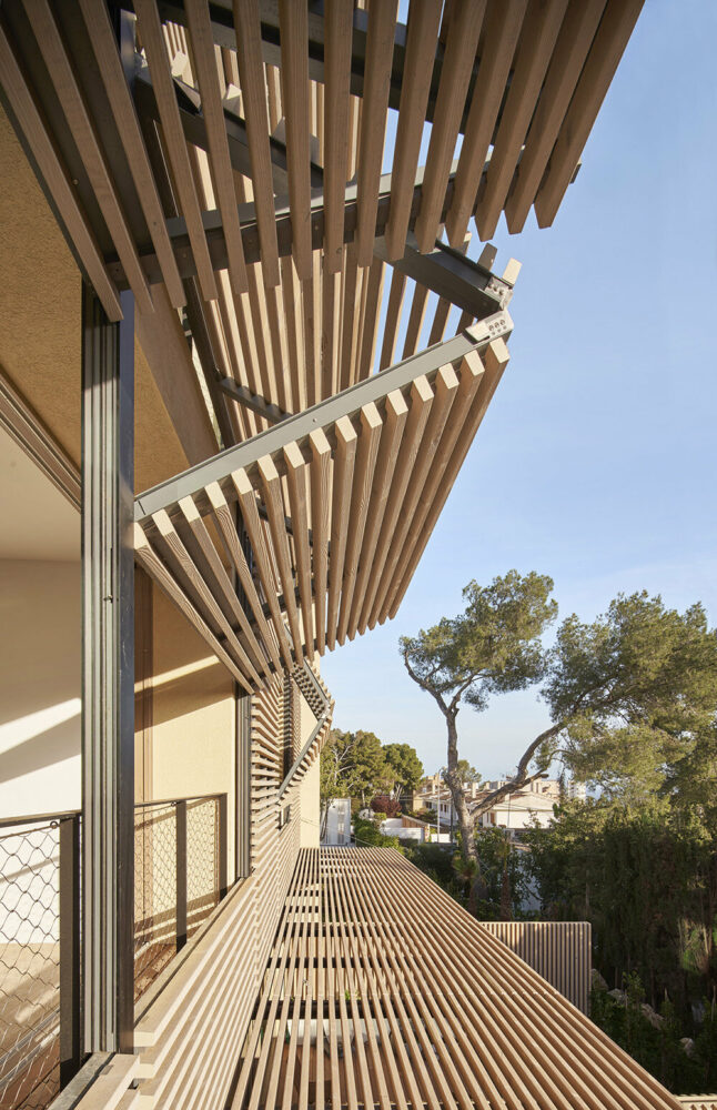 image © José Hevia