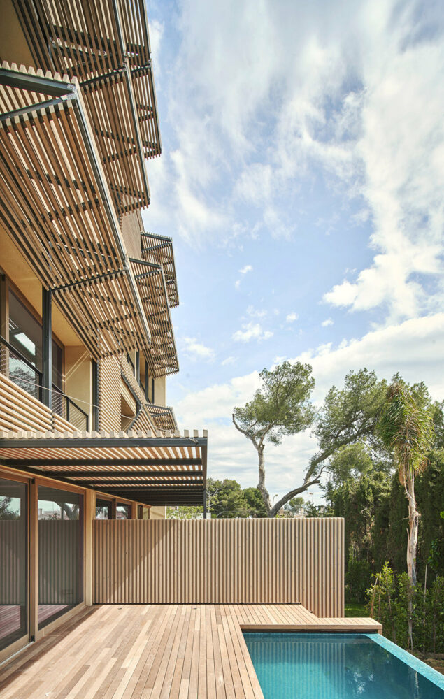 image © José Hevia