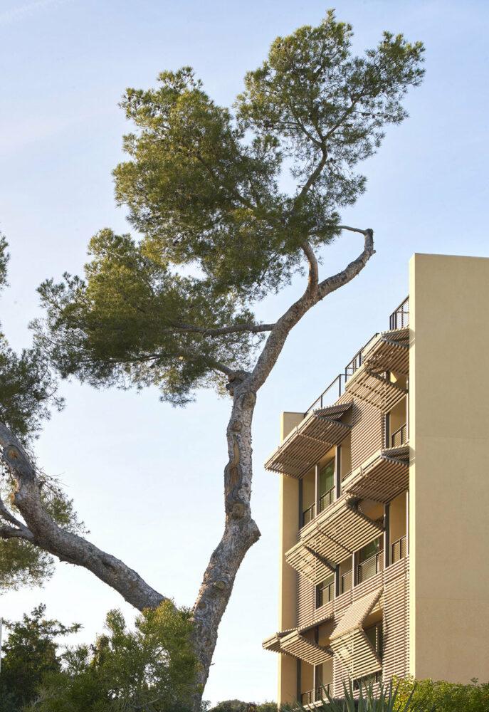 image © José Hevia