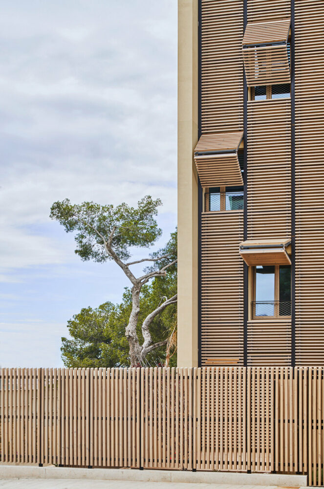 image © José Hevia