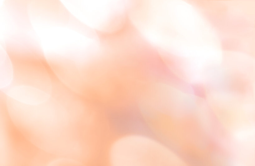 pantone color year 2024 peach fuzz