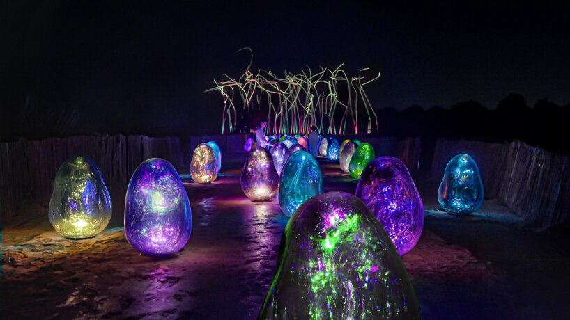 teamlab mangrove island installations manar abu dhabi