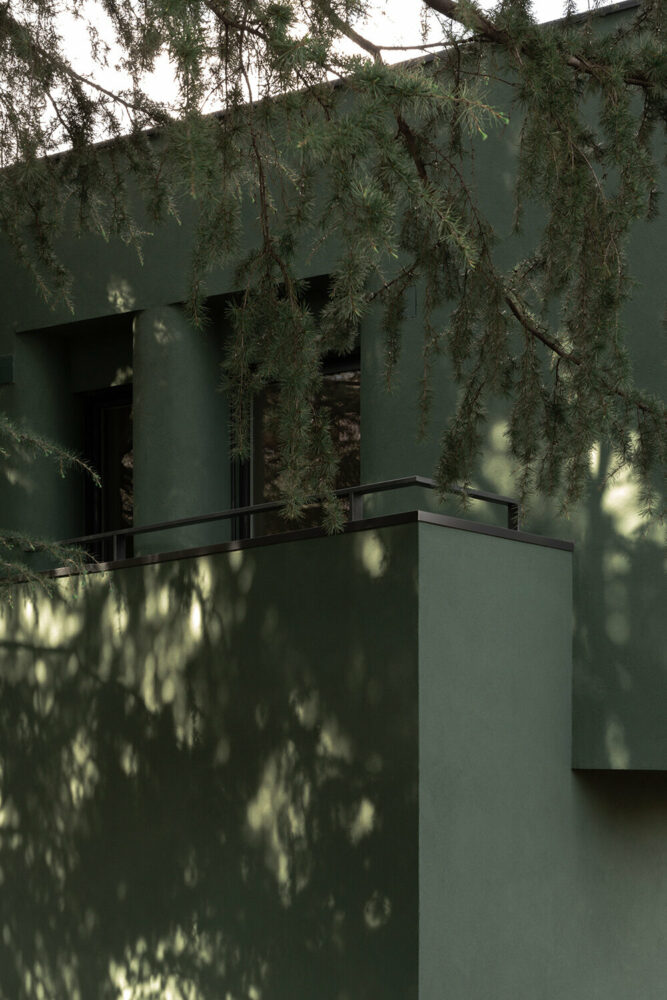 image © Nicole Gaia