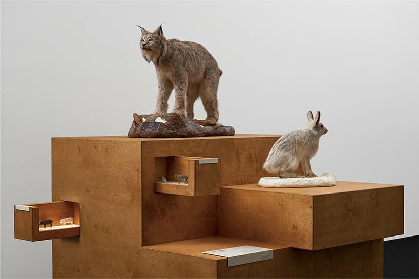 TOP 10 reader submissions of 2023 – installations