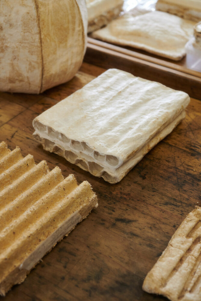 image by Benjamin Lund