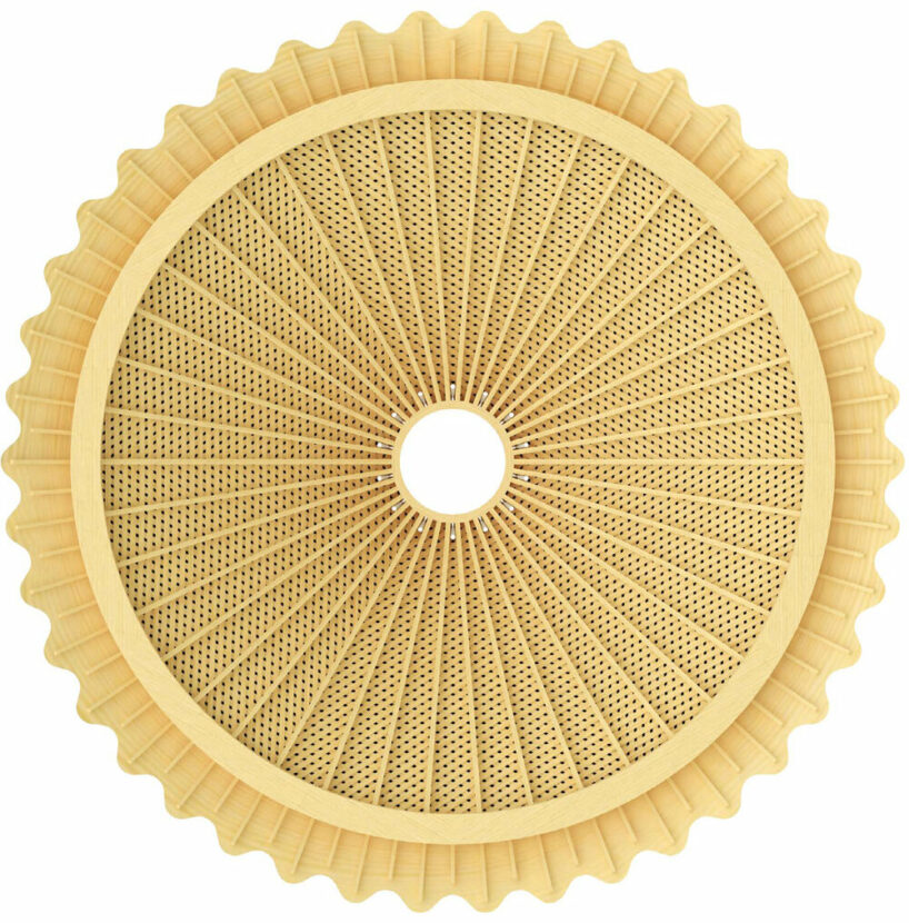 image ©L'Atelier Senzu