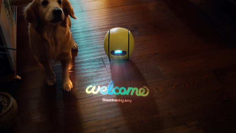 samsung ballie ai robot ces 2024