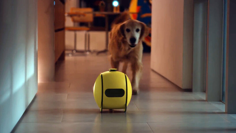 samsung ballie ai robot ces 2024