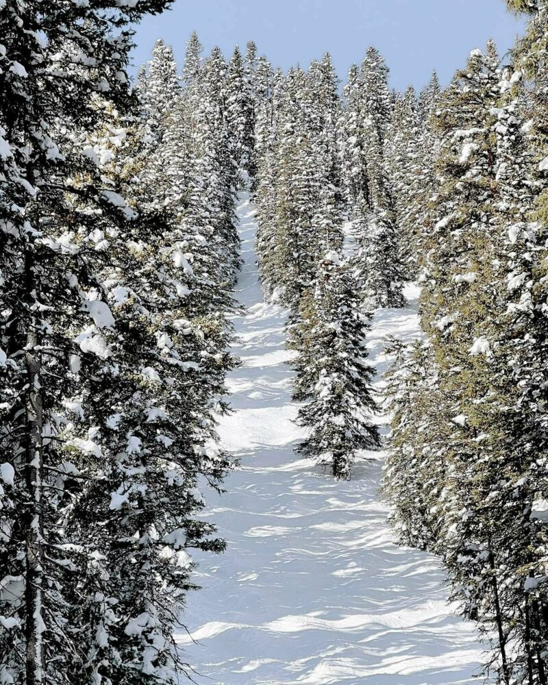 view from the newly opened Hero’s terrain at Aspen Mountain | image © designboom