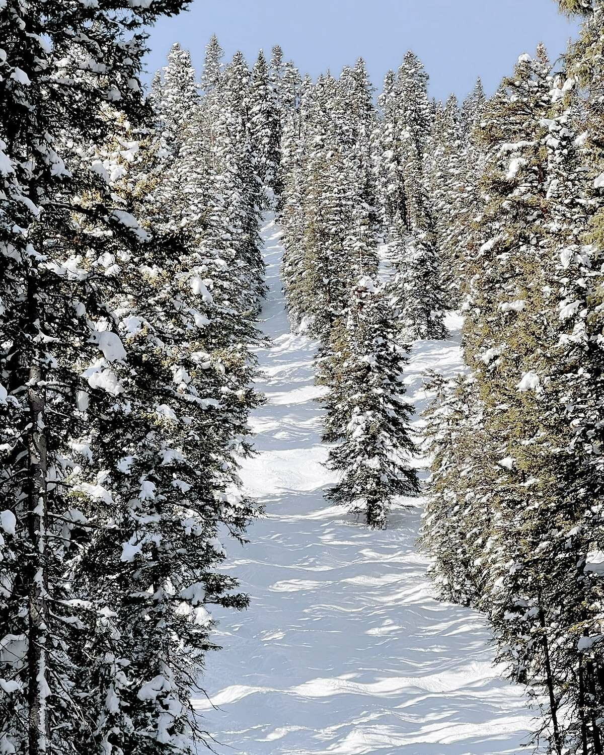view from the newly opened Hero’s terrain at Aspen Mountain | image © designboom