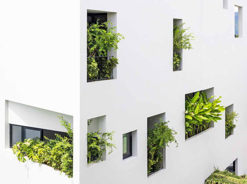 cut-out patios bring nature inside pham huu son's skygarden house in vietnam