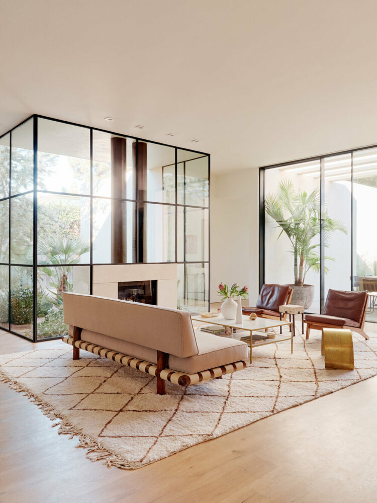glass fireplace in living room with views of nature outside
