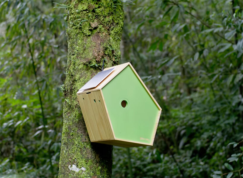 birddy: a smart birdhouse for our avian neighbors to nest & raise their young