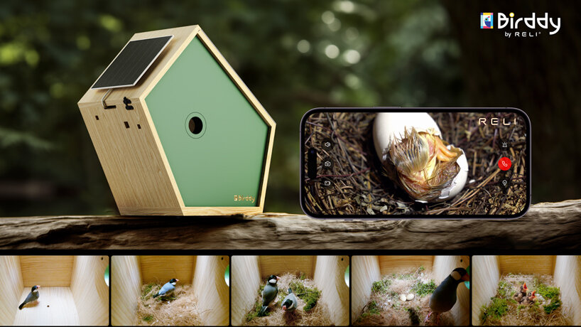 birddy: a smart birdhouse for our avian neighbors to nest & raise their young