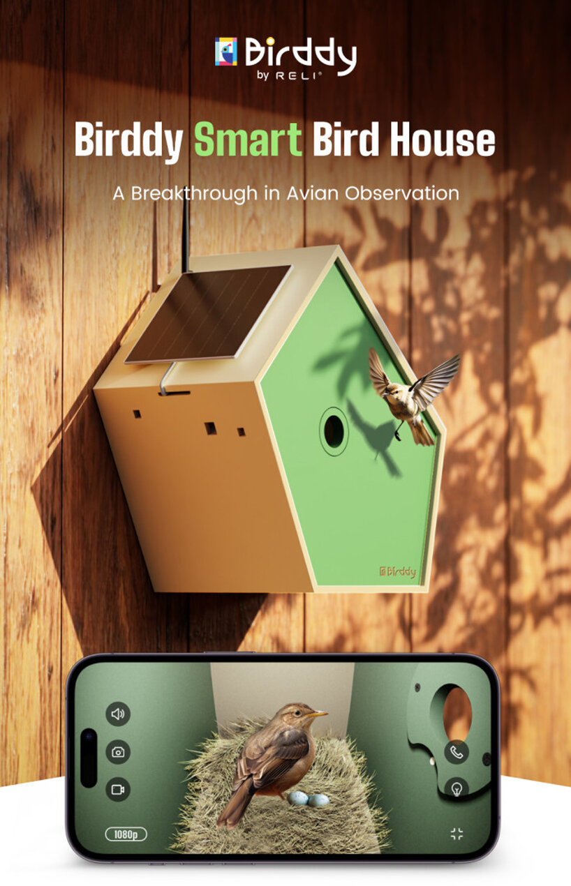 birddy: a smart birdhouse for our avian neighbors to nest & raise their young