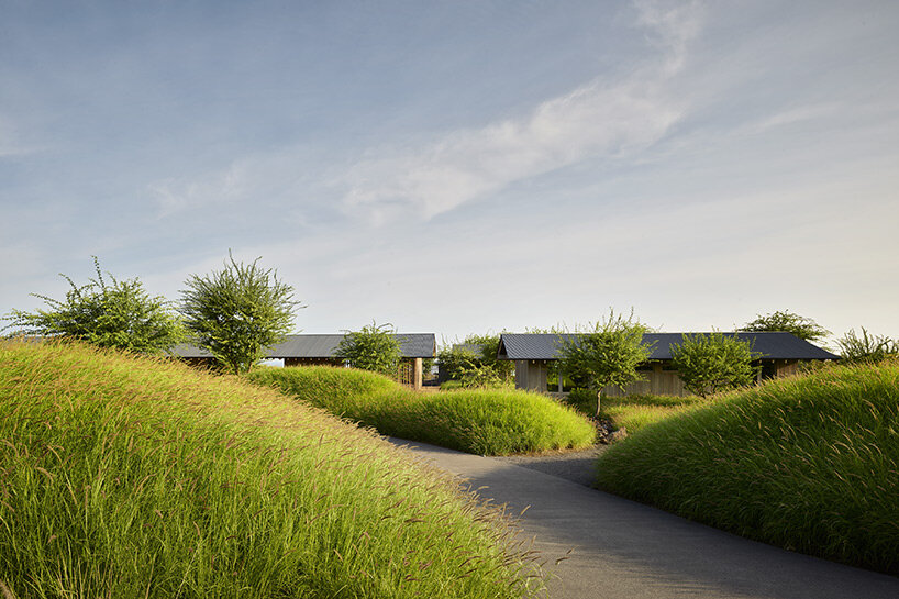 hale kiawe walker warner