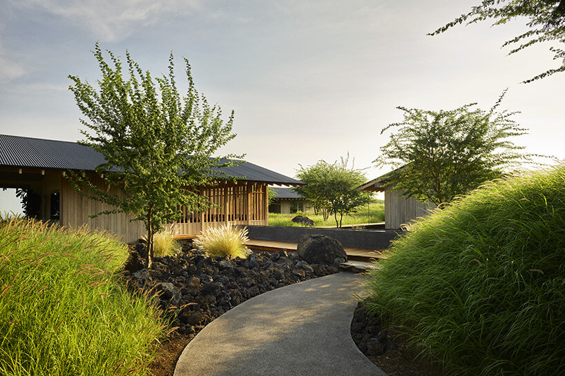 hale kiawe walker warner