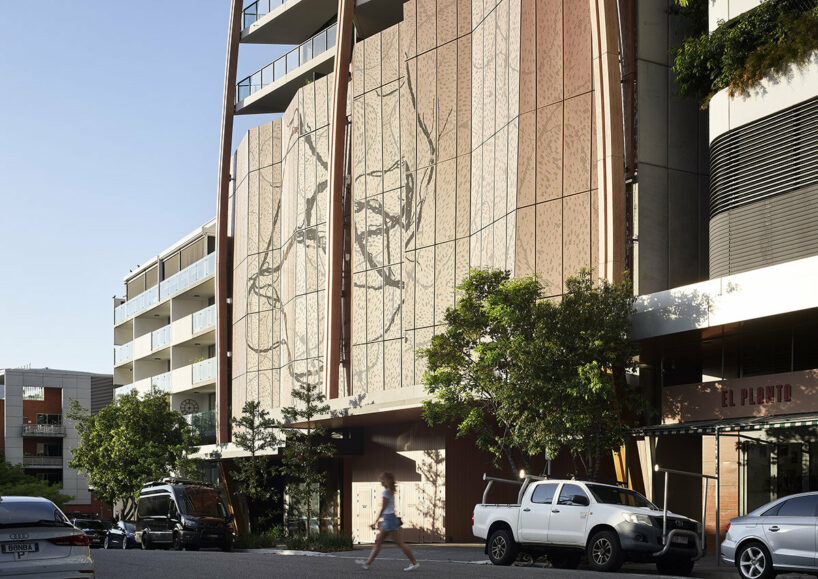 image © Scott Burrows