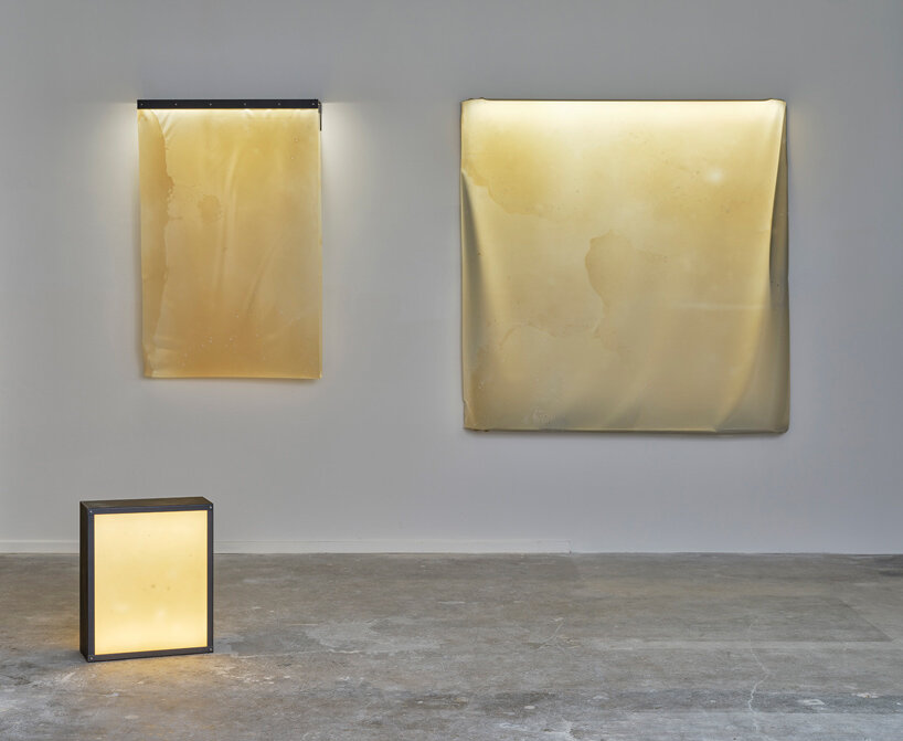 natural material studio explores light through bio-textile materials