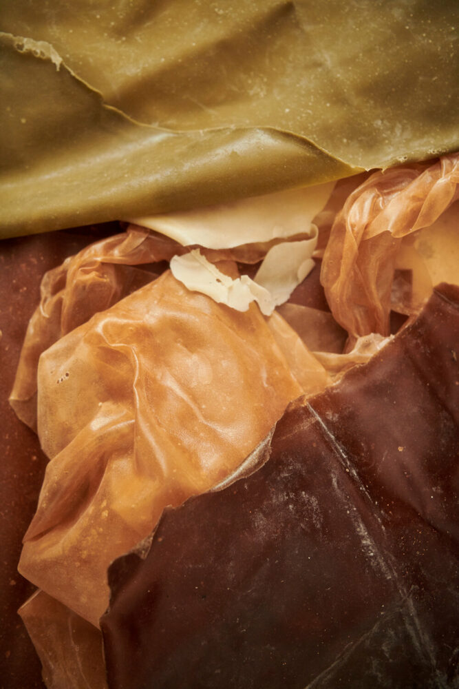 image by Benjamin Lund