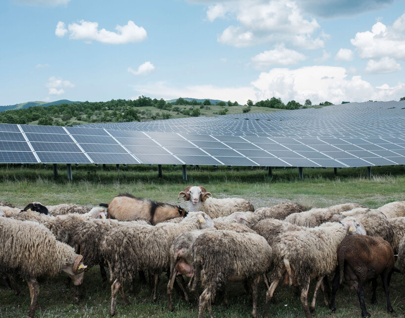 image © Suer Celina, European Regional Awards Shortlist, Kosovo