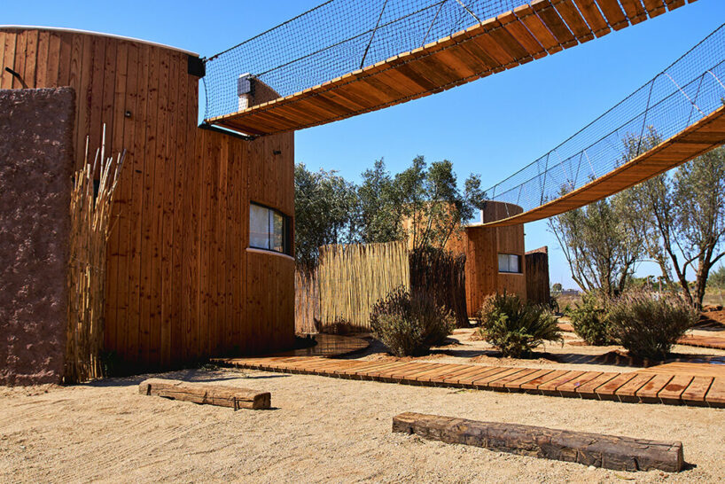 image © Jonah Ruvalcaba