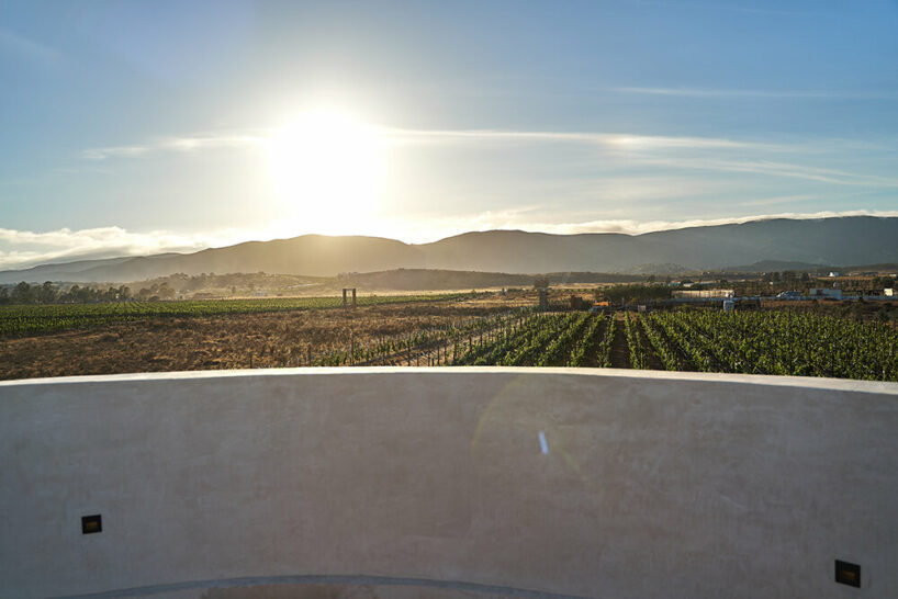 image © Jonah Ruvalcaba