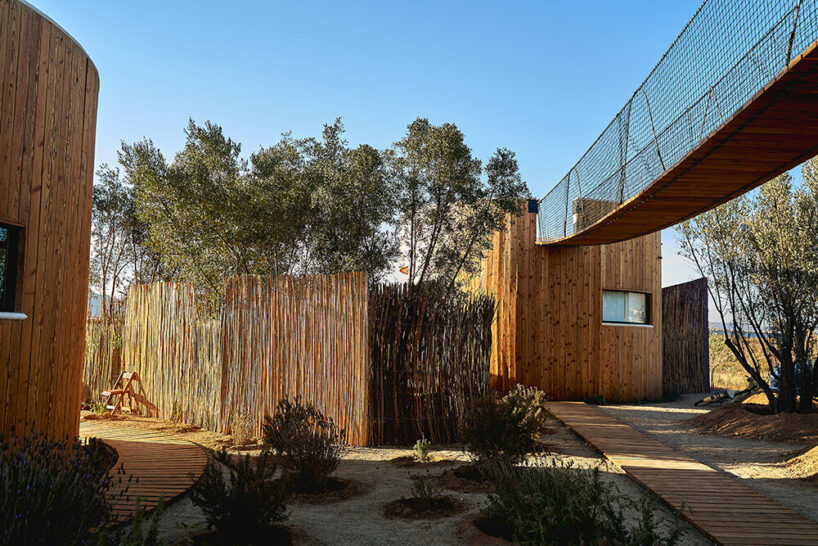 image © Jonah Ruvalcaba