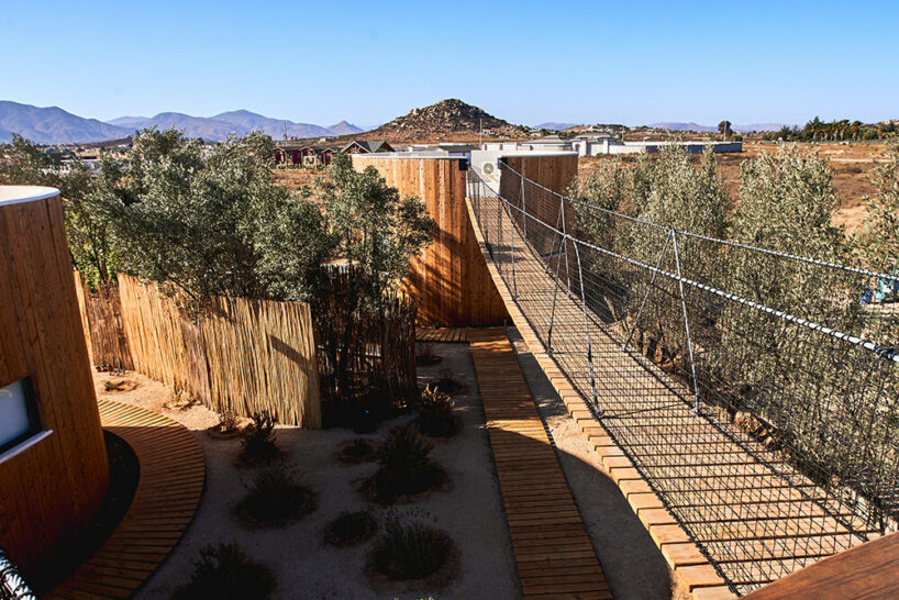 image © Jonah Ruvalcaba