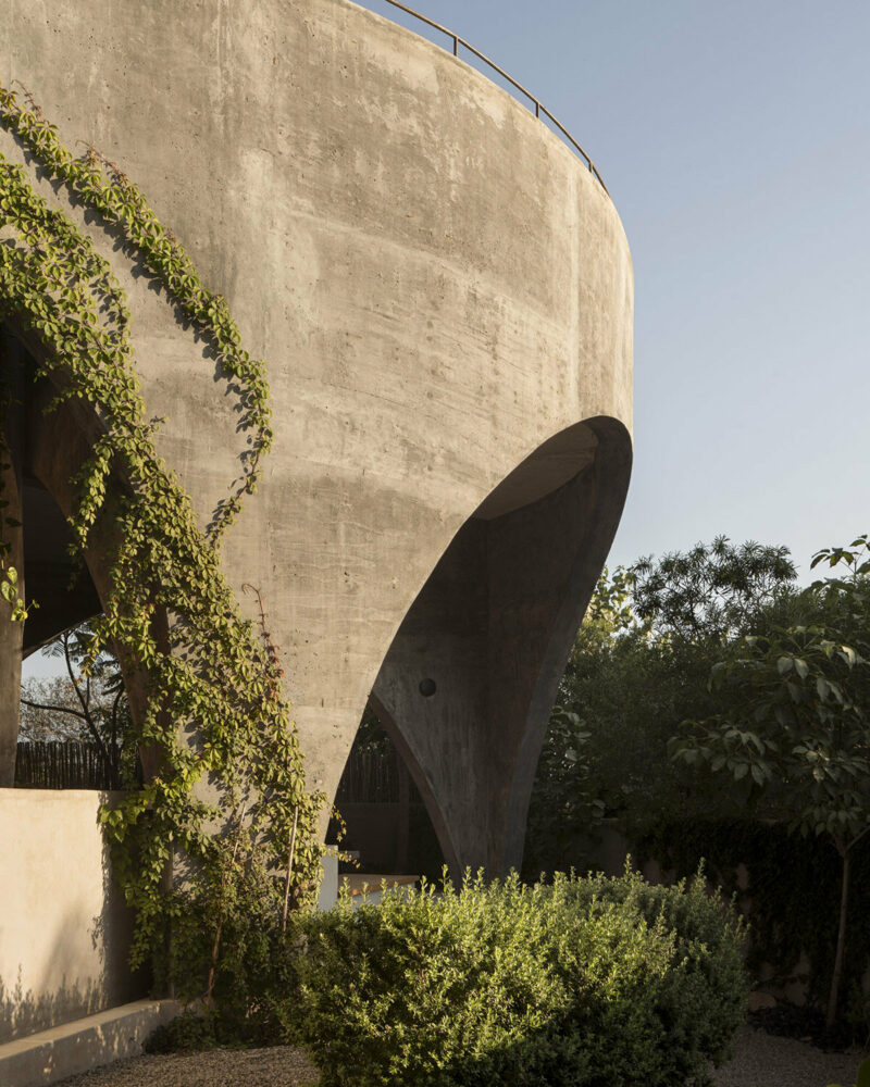 image © Cesar Belio