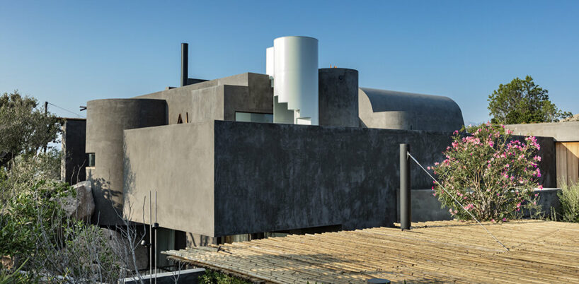 image by Tiziano Canu