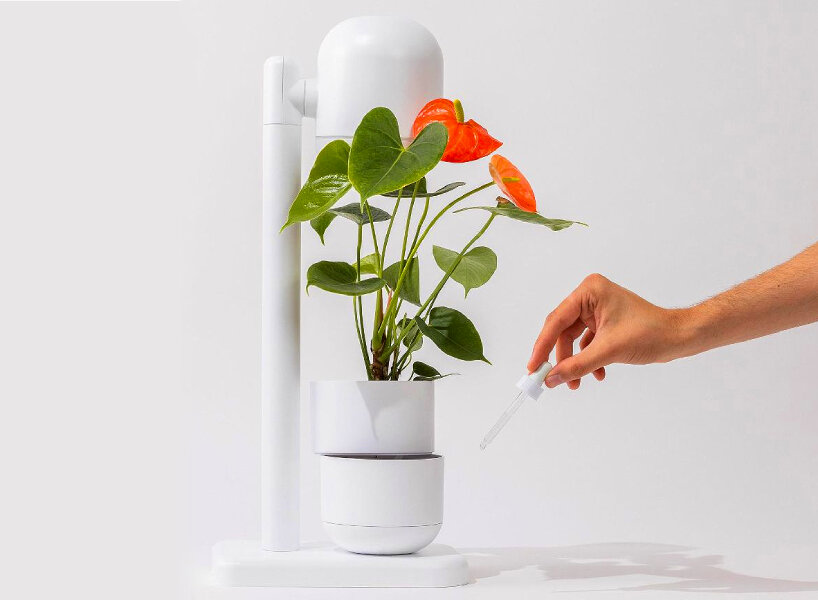 moss self-watering grow lamp plants herbs