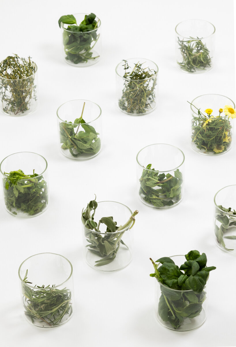 moss self-watering grow lamp plants herbs