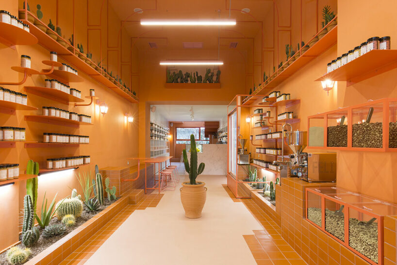  studiomateriality wild souls shop design in athens designboom