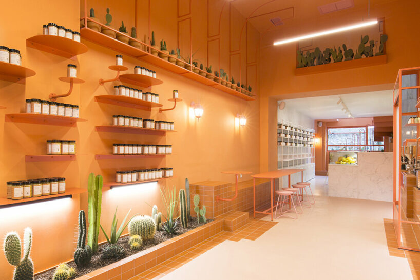  studiomateriality wild souls shop design in athens designboom