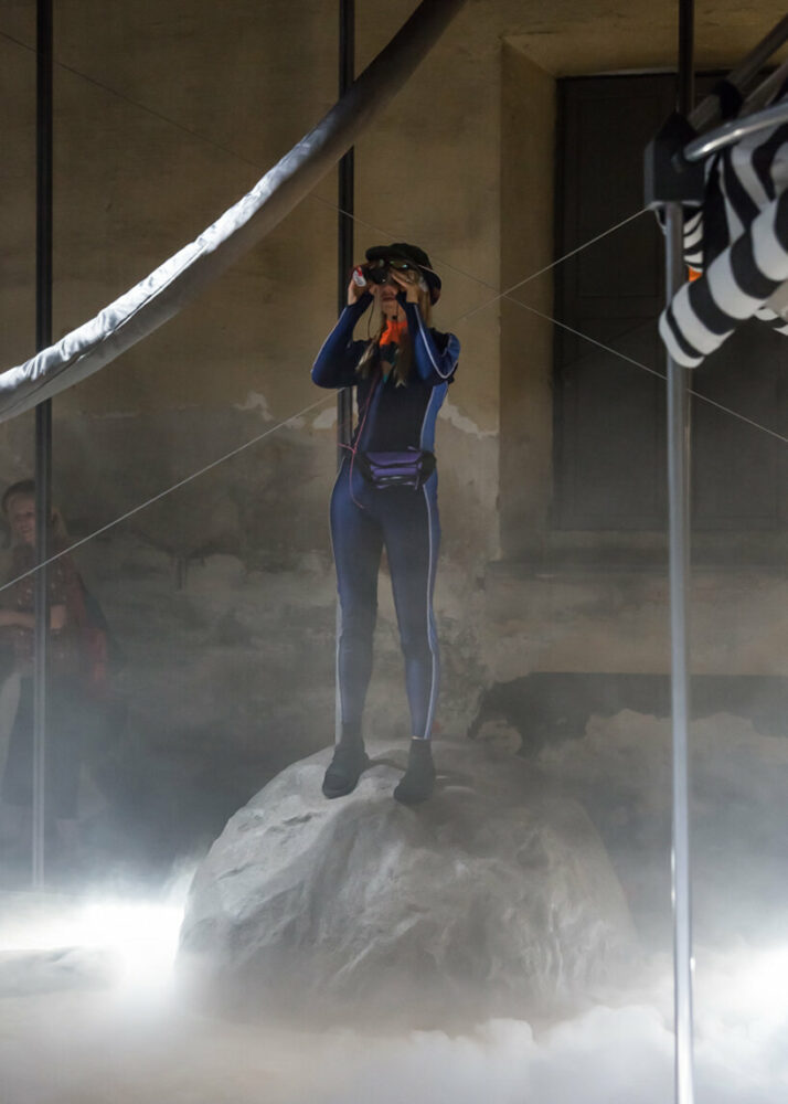 the inhabitants of this vivarium contemplate on the relationship between representation, agency, and climate change