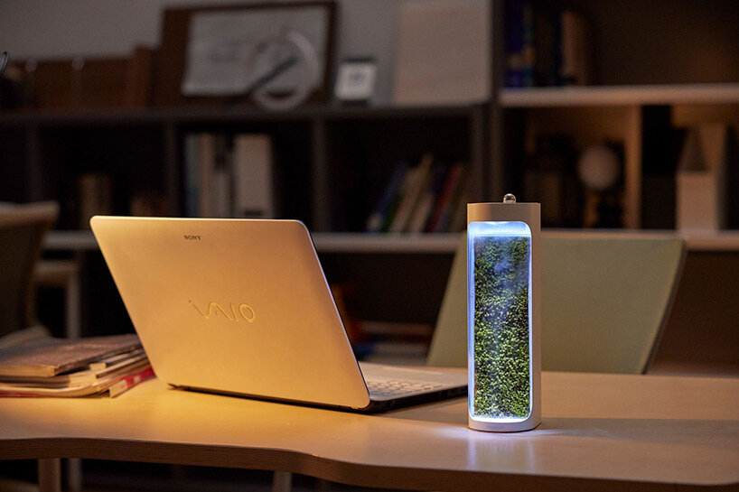 mosslab's desktop-sized humidifier & purifier turns dry air into moisture-rich environments - 1