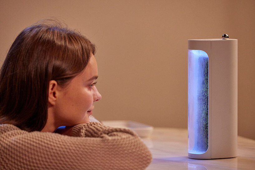 mosslab's desktop-sized humidifier & purifier turns dry air into moisture-rich environments - 3