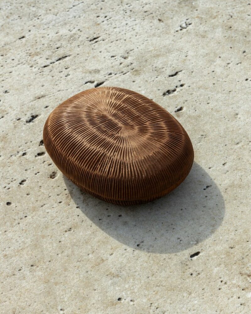 interview: naoto fukasawa on his collaboration with ZANAT