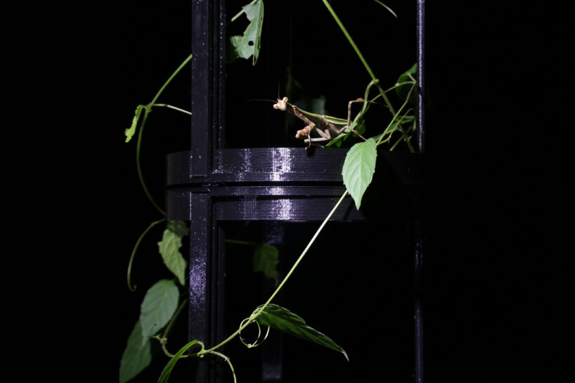 sabine marcelis 3d-printed armature case deep exopack